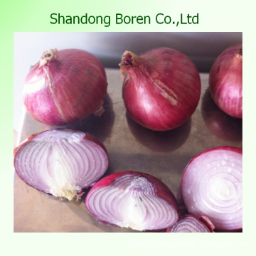 2015 Wolkable Fresh Red Onion, Fresh Red Onion From China